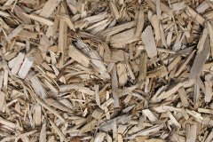 biomass boilers Landywood